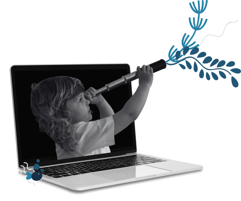 Conception de sites internet éco-conçus et performants à Toulouse – Néréide Studio.